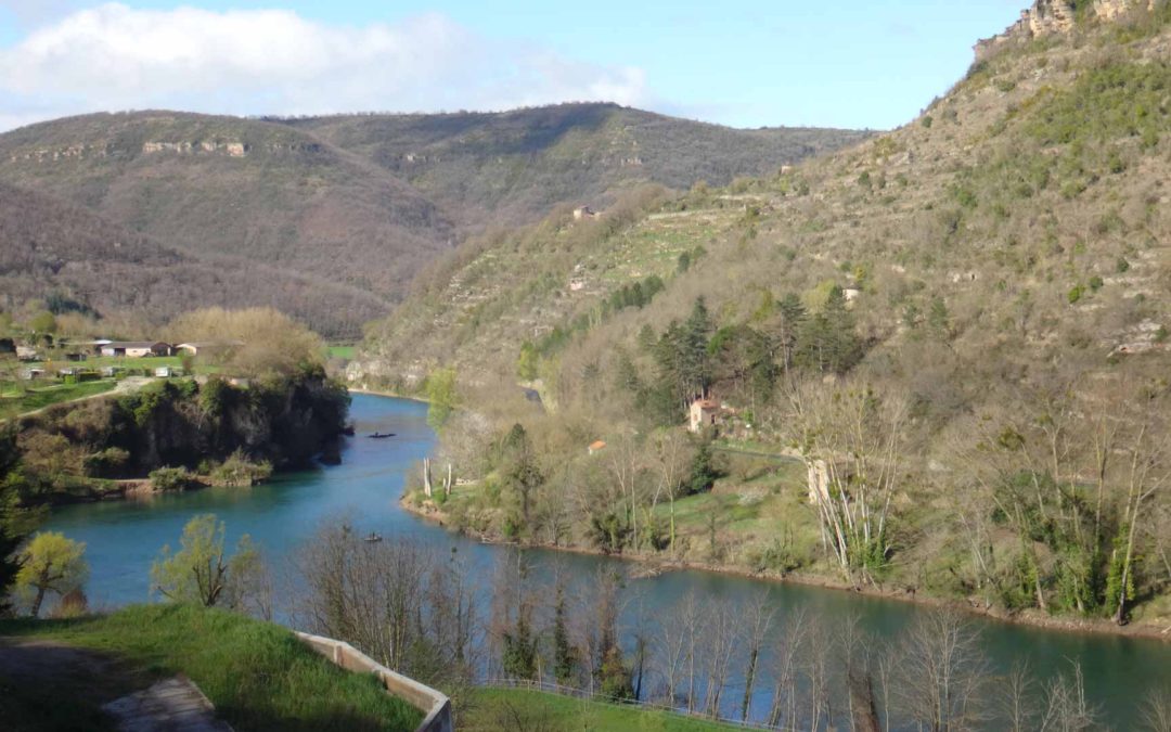 Les mines d’argent médiévales des comtes de Rodez