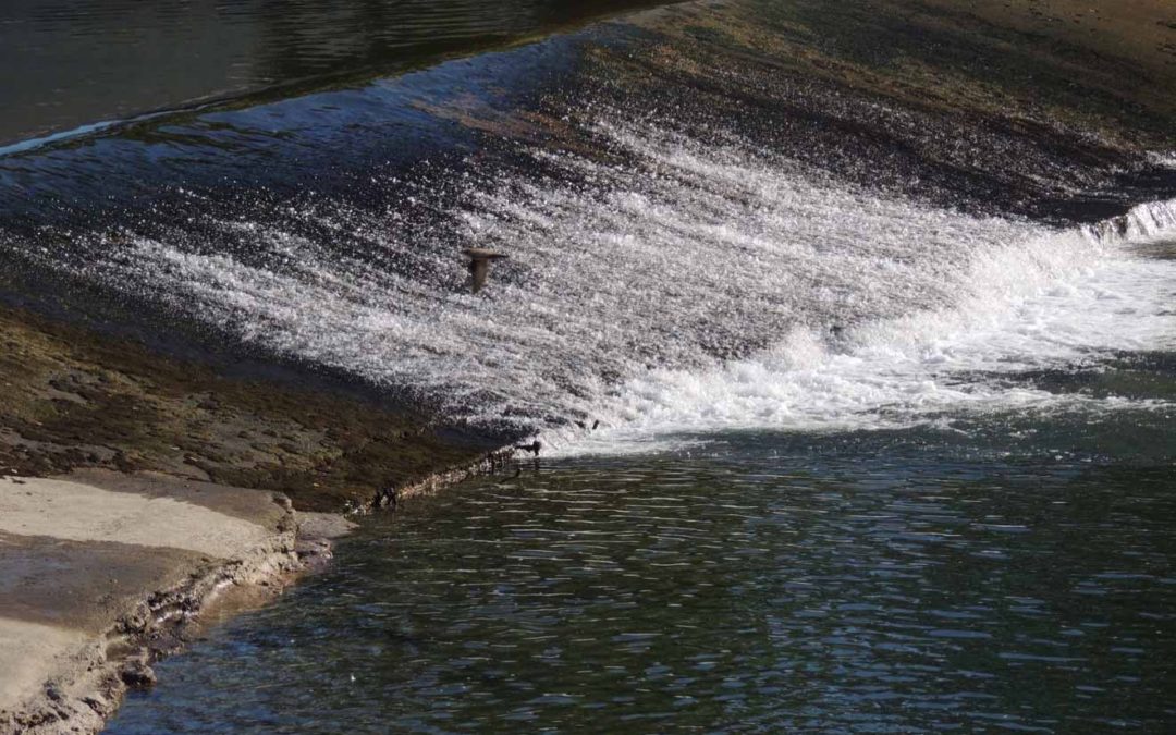 Conférence Jean-Pierre Henri Azéma : Les chaussées de moulins à eau
