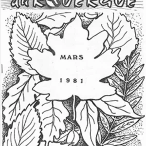 12 bulletin mars 81