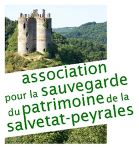 Logo Patrimoine LSP